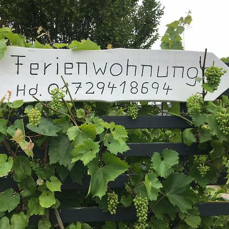 Ferienwohnung Anke Huhn Nordhausen Exteriör bild